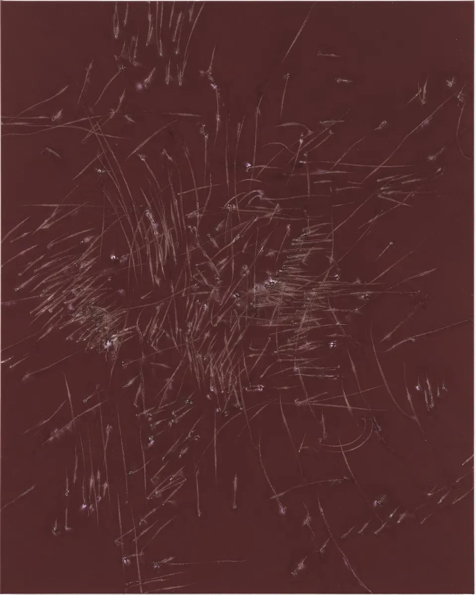 Thomas Wachholz, Monochrom I