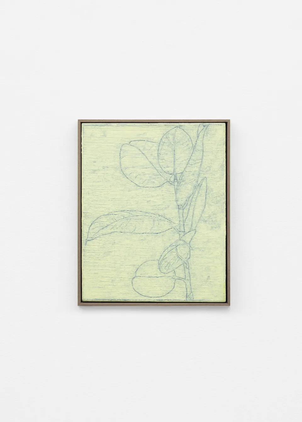Shaan Syed, Fiscus Elastica 9