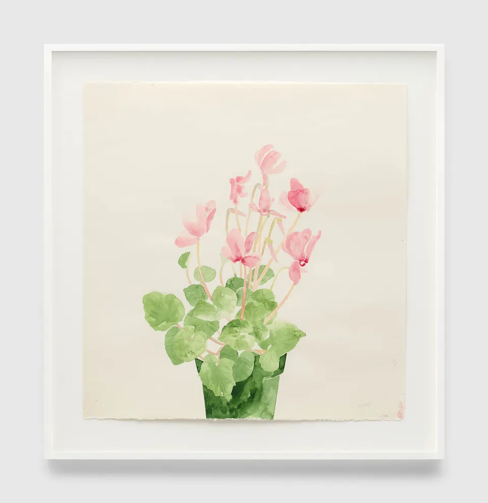 Ruth Asawa, Untitled (WC.244, Cyclamen)