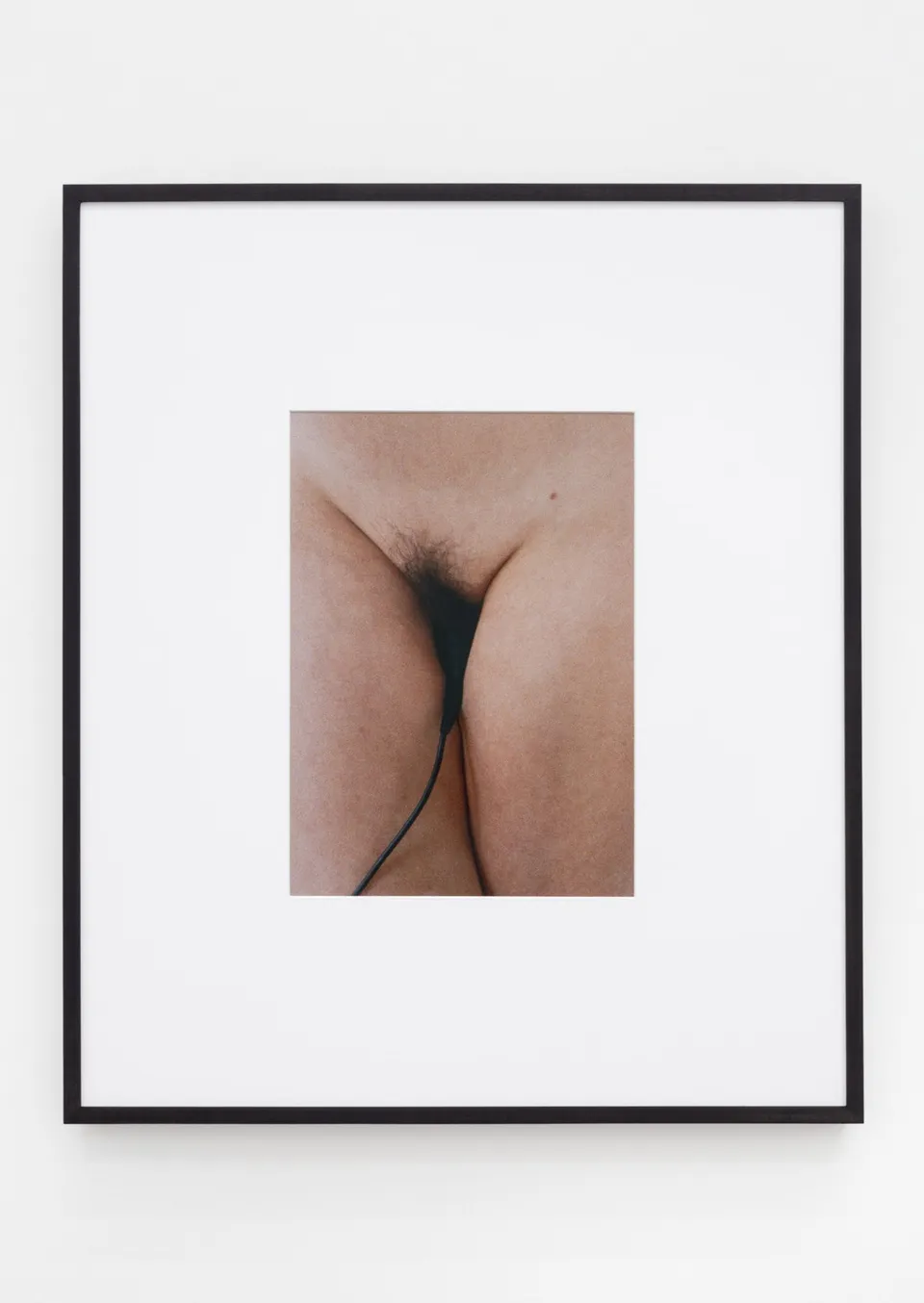 Talia Chetrit, cable release