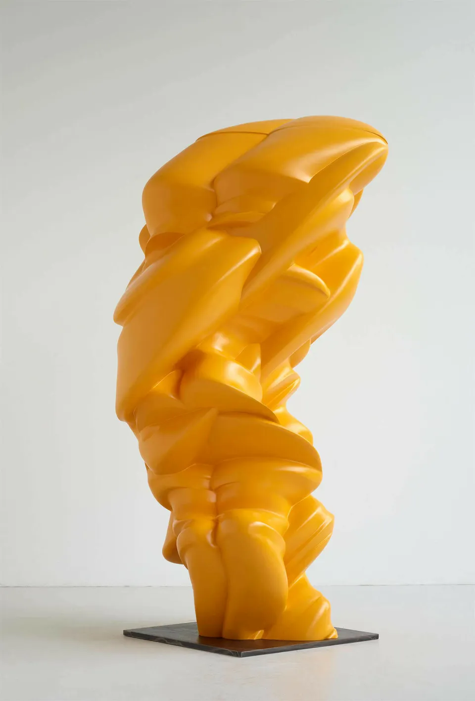 Tony Cragg, After We've Gone