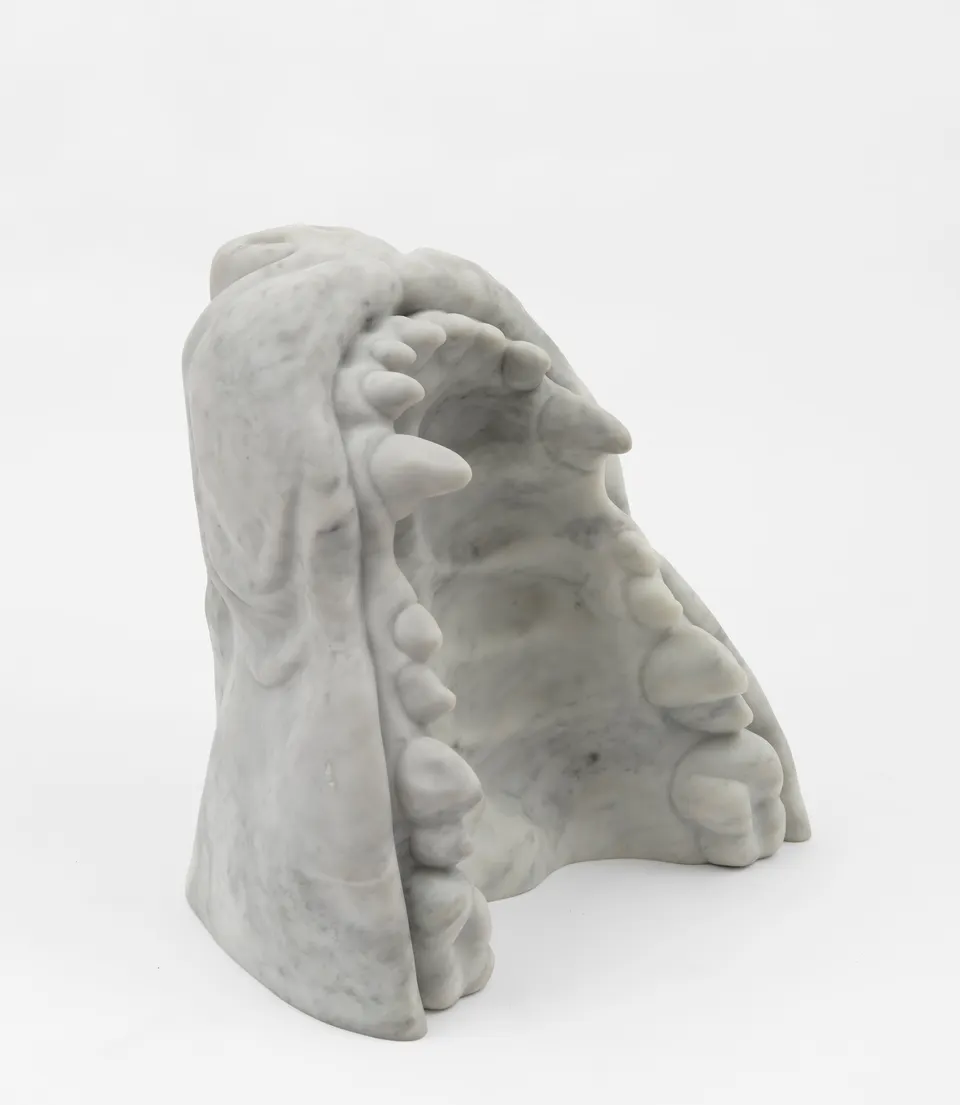 Fin Simonetti, Jaw 2