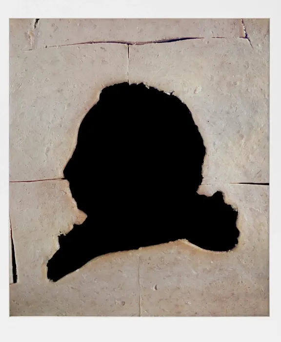 Vik Muniz, hume, bologna