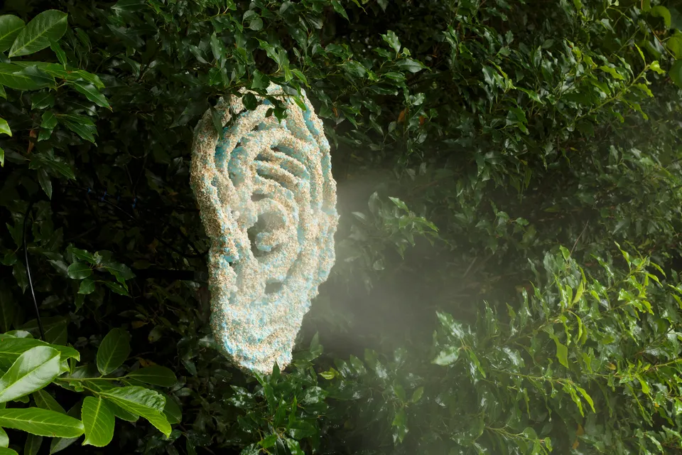 Marco Giordano, Self-fulfilling Ego
