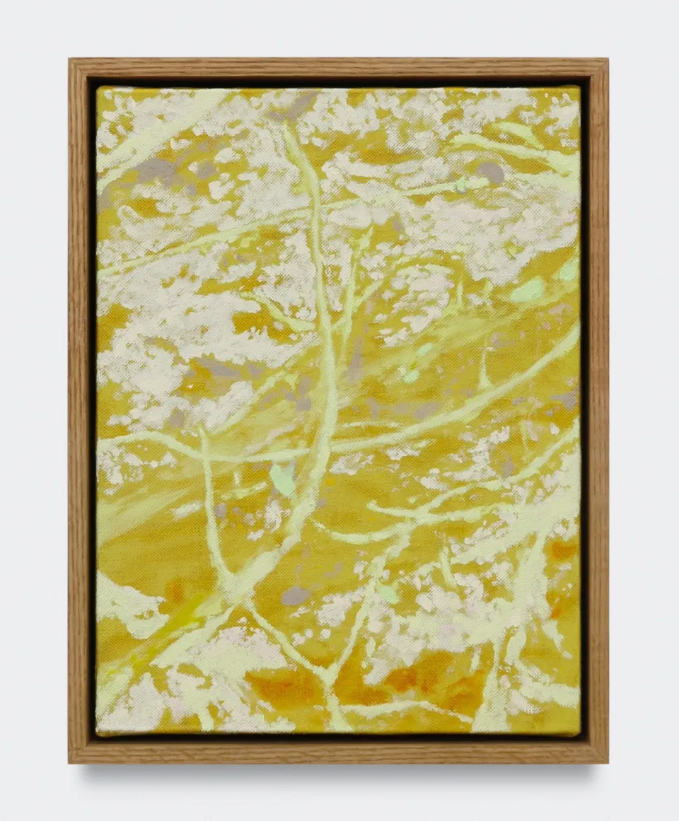 Mads Bryld, Shimmer