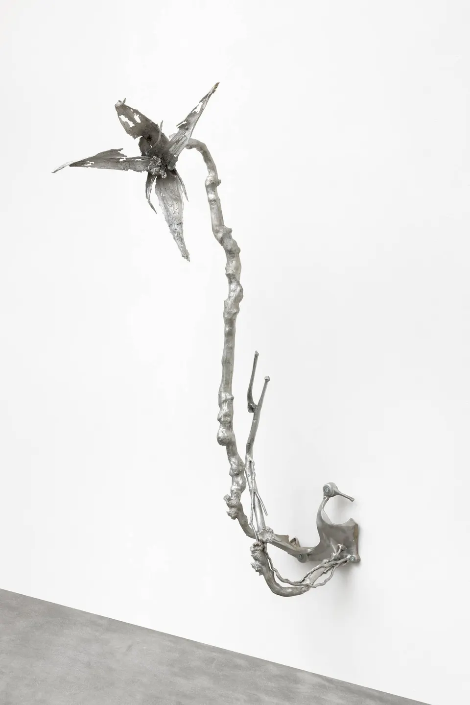 Giulia Cenci, slow flower