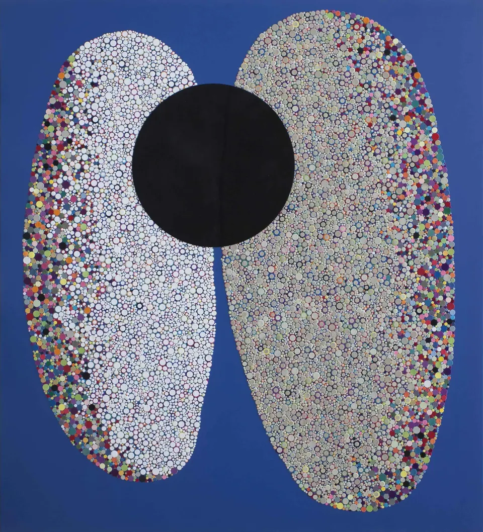 Bharti Kher, Splitting the atom
