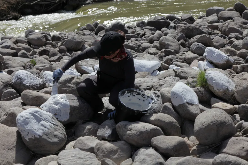 Minerva Cuevas, crossing the río bravo