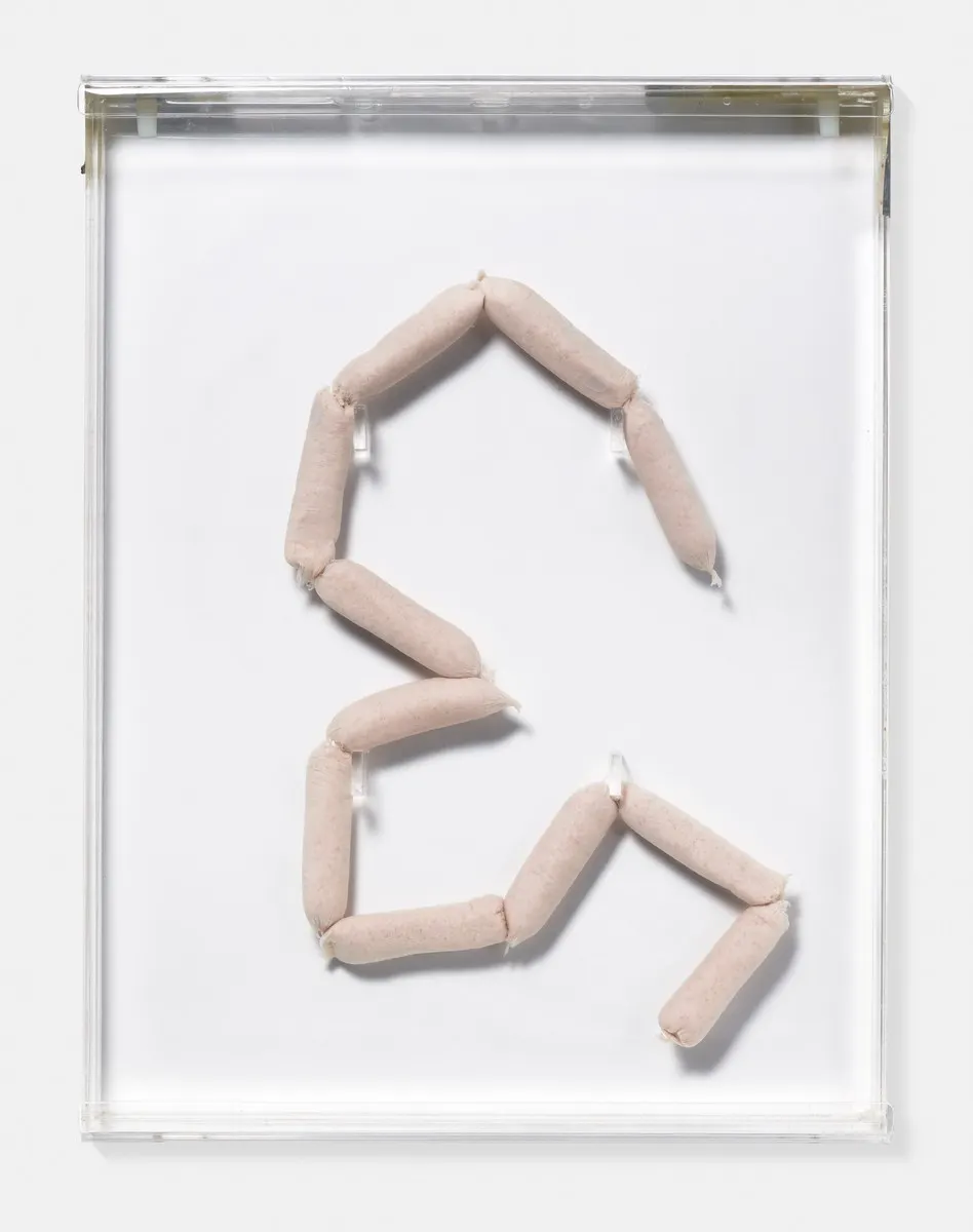 Damien Hirst, 14 Sausages