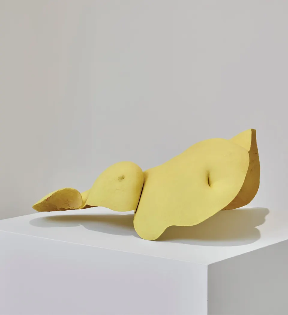 Misha Japanwala, Basking