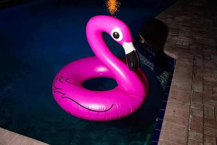 Landon Nordeman, Pink Flamingo, High Season series, Palm Beach