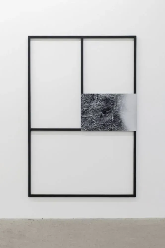 Mathieu Grenier, Fieldwork #3