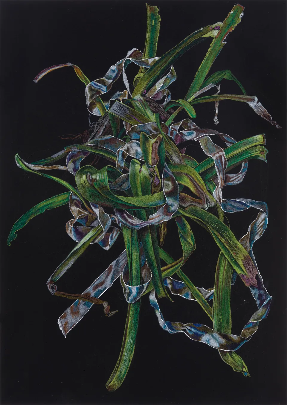 Deborah Poynton, Drawing on Black Paper 9
