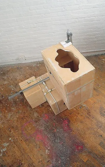 Cody Choi, Box Animal Face,