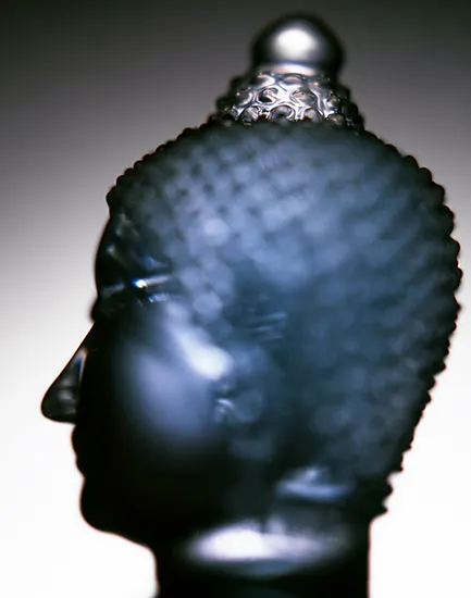 Manit Sriwanichpoom, Glass Buddha #03