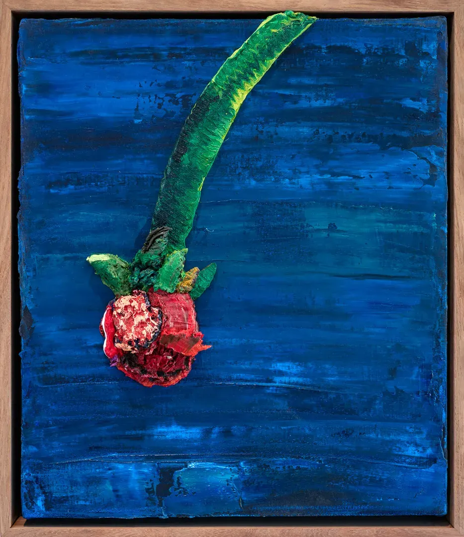 Nabeeha Mohamed, Rose