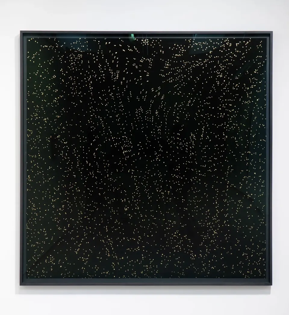 Geneviève Cadieux, Étoiles