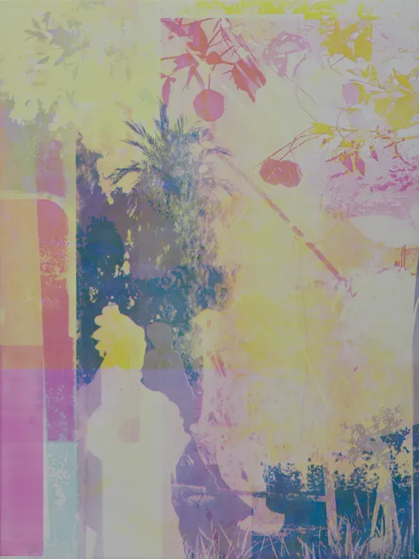 Zoe Walsh, Flickers as they pass