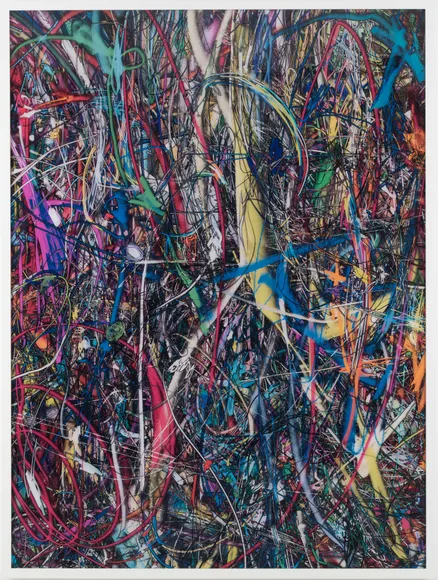 Florian Maier-Aichen, Untitled (Lasso Painting #3)
