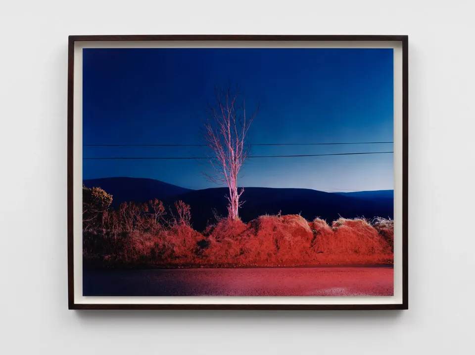 Gerard Byrne, A country road. A tree. Evening. Somewhere between Tonygarrow and Cloon Wood, below Prince Williams Seat, Glancree, Co. Wicklow.