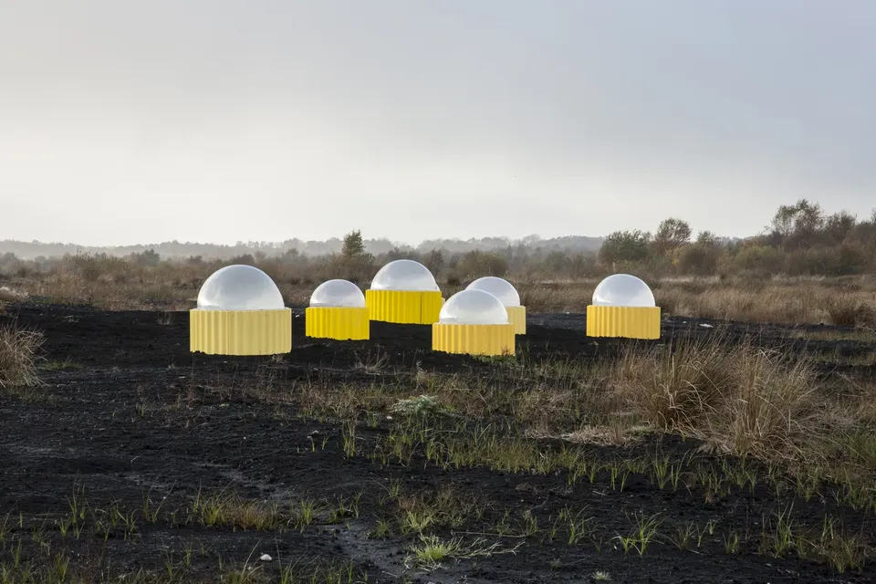 Rachael Champion, Carbon Flux