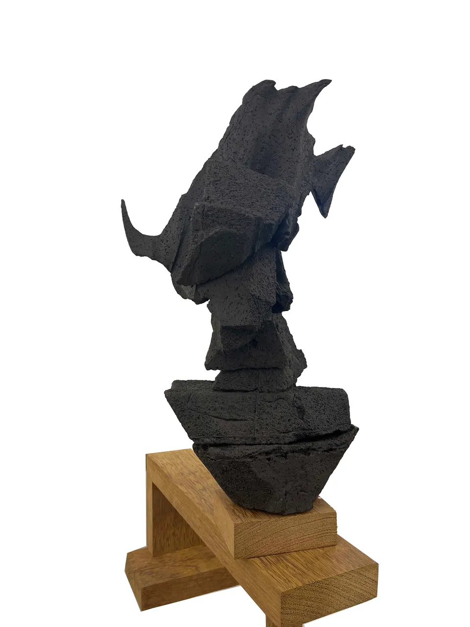 Wim Botha, Untitled (I withhold 2)