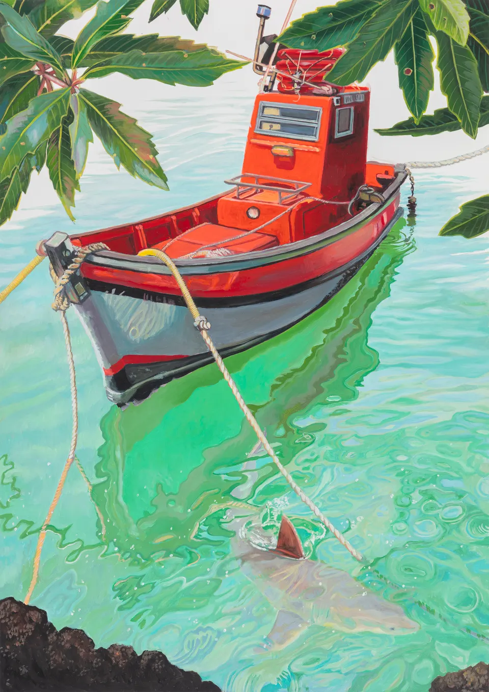 Deborah Poynton, Shark