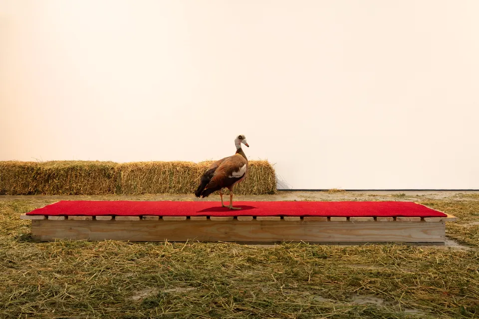 Mawande Ka Zenzile, The Golden Goose (An Autobiography of an Artist)