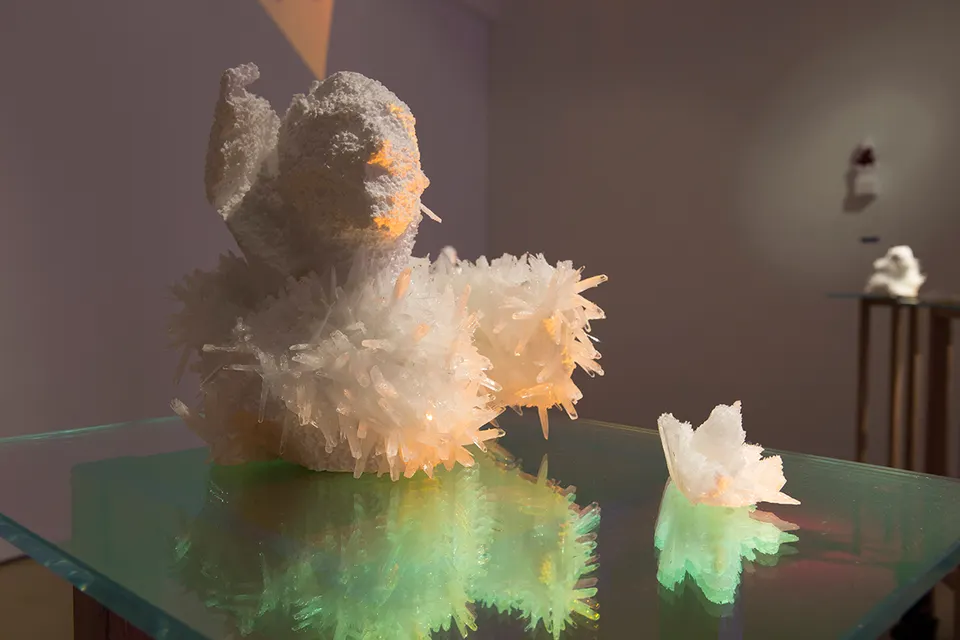 Wim Botha, Untitled (Bloom 4)