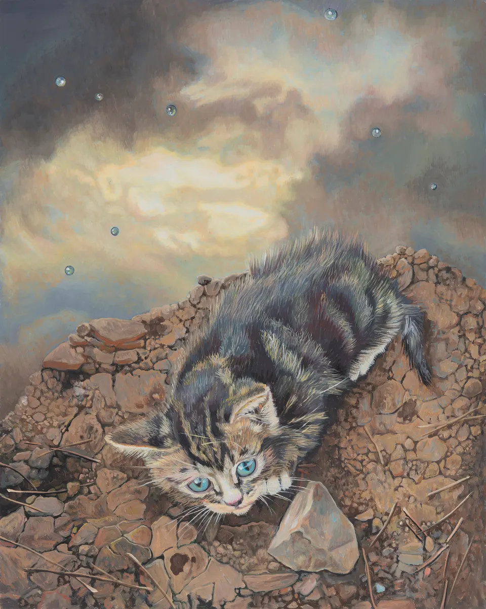 Deborah Poynton, Kitten