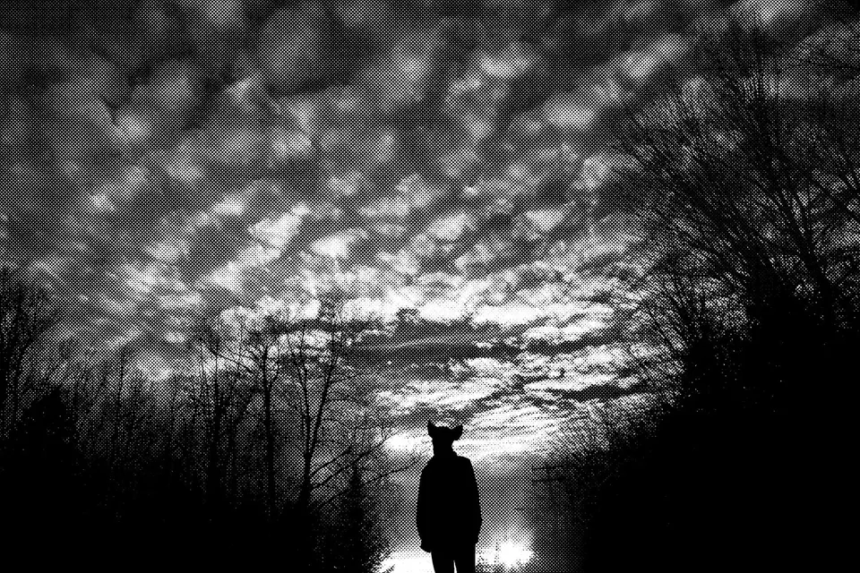 Bonnie Baxter, twilight