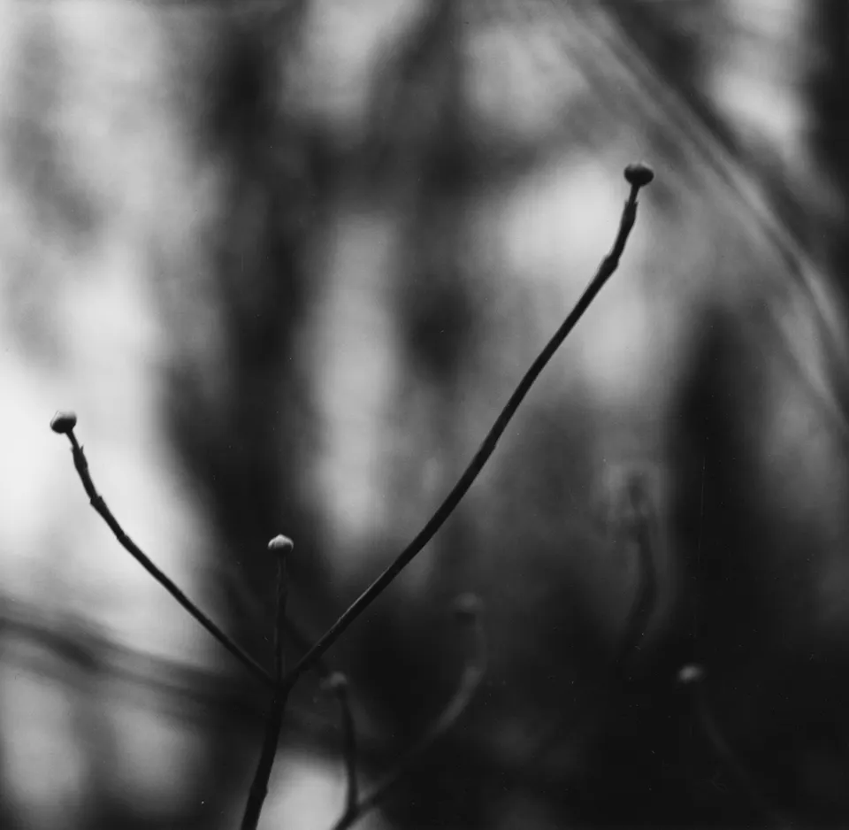 Ralph Eugene Meatyard, Untitled