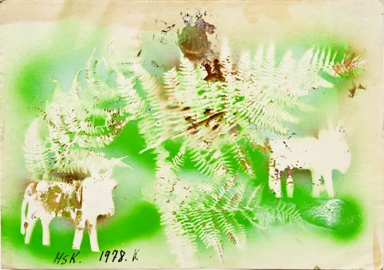 Hans Krüsi, Untitled