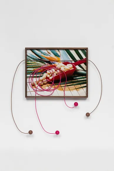 Elad Lassry, Untitled (Macadamia Nuts)