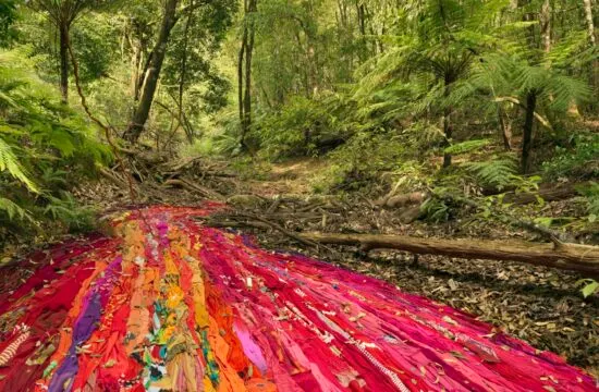 Rosemary Laing, Drapery and wattle