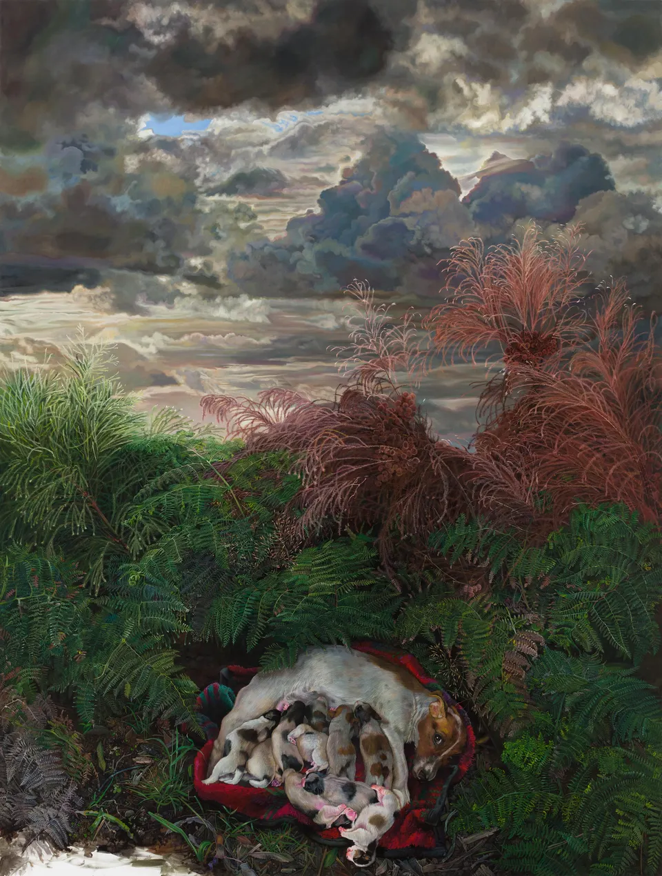 Deborah Poynton, Puppies
