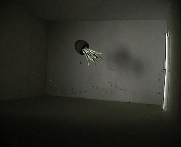 Jonas Dahlberg, Weightless Space