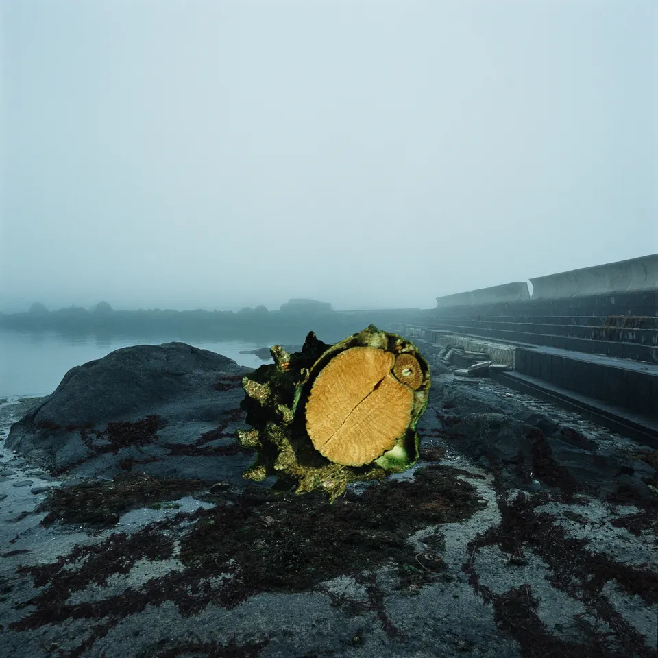 Jane & Louise Wilson, Untitled #13 'I'd Walk With You But Not With Her’