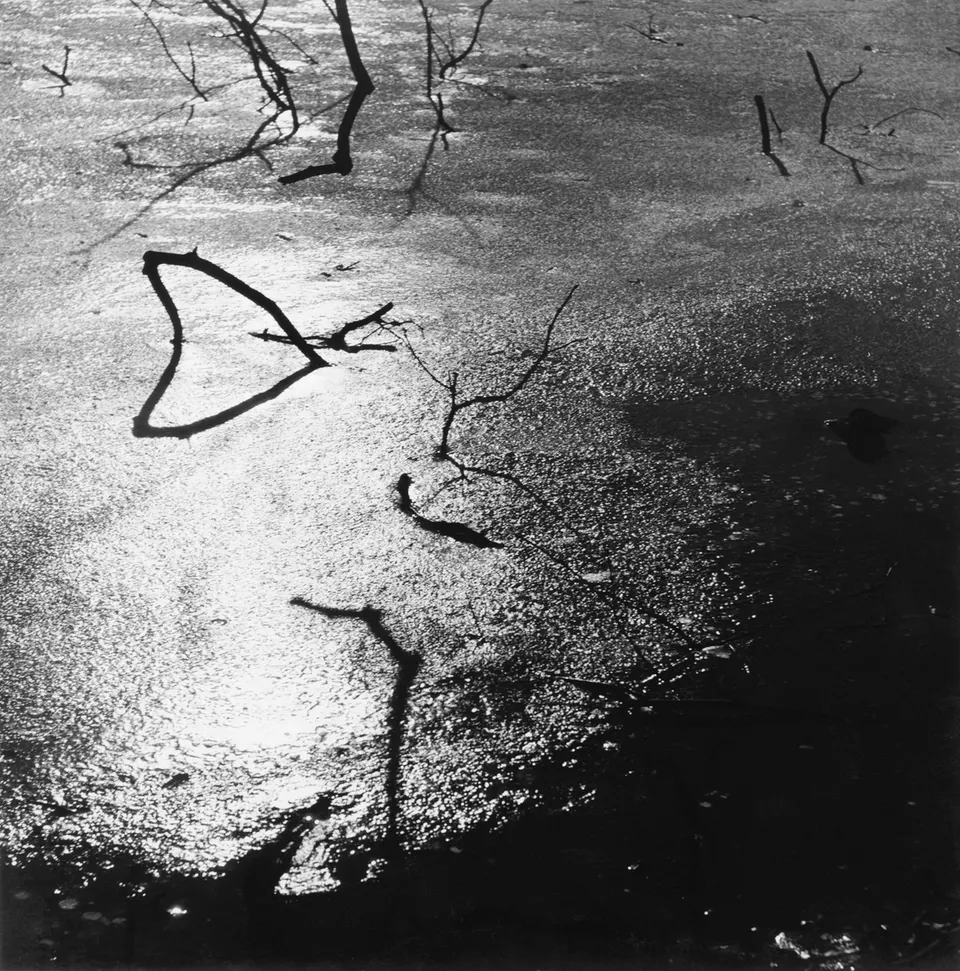 Ralph Eugene Meatyard, Untitled