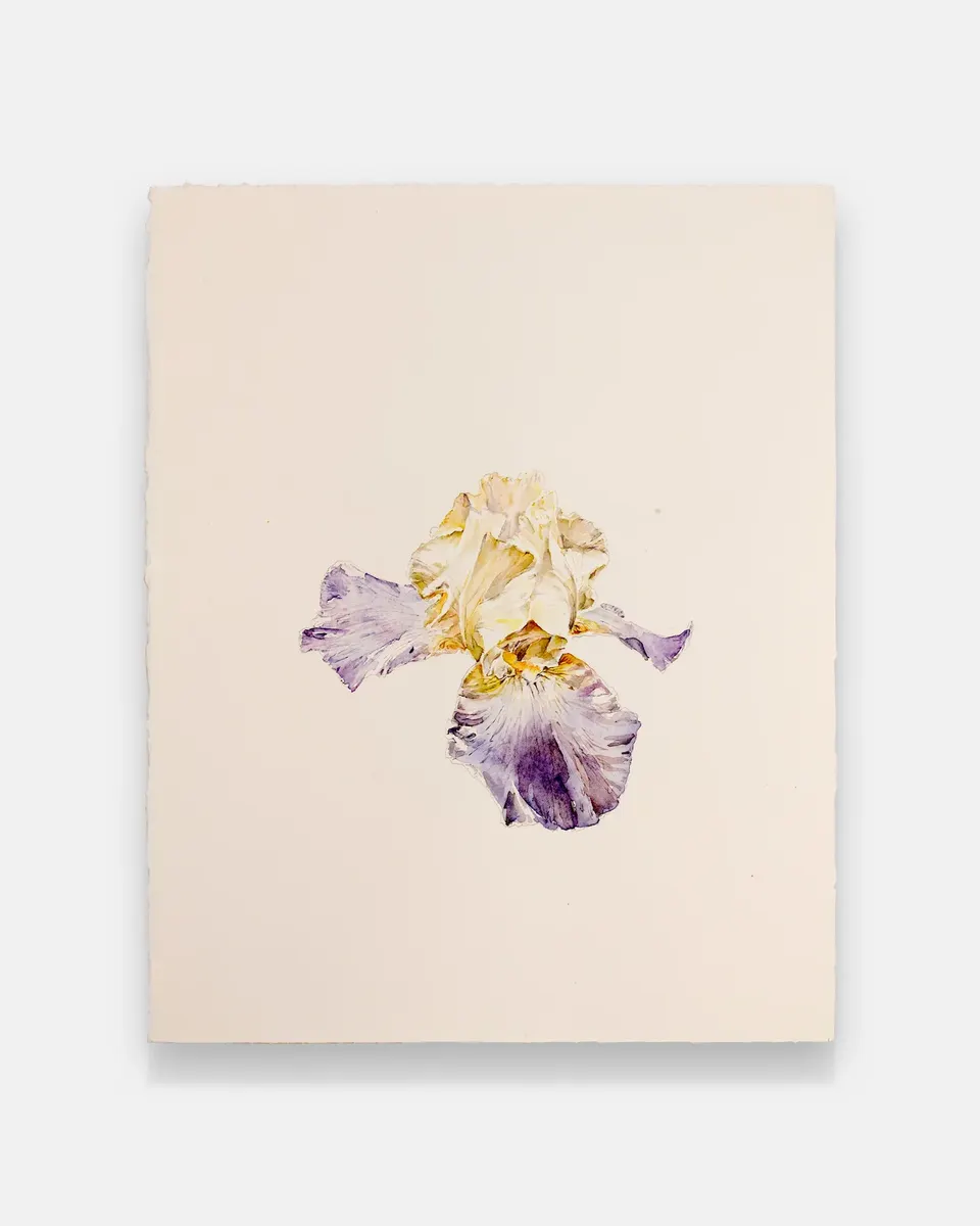 Patrick Neu, Iris (2017/03)