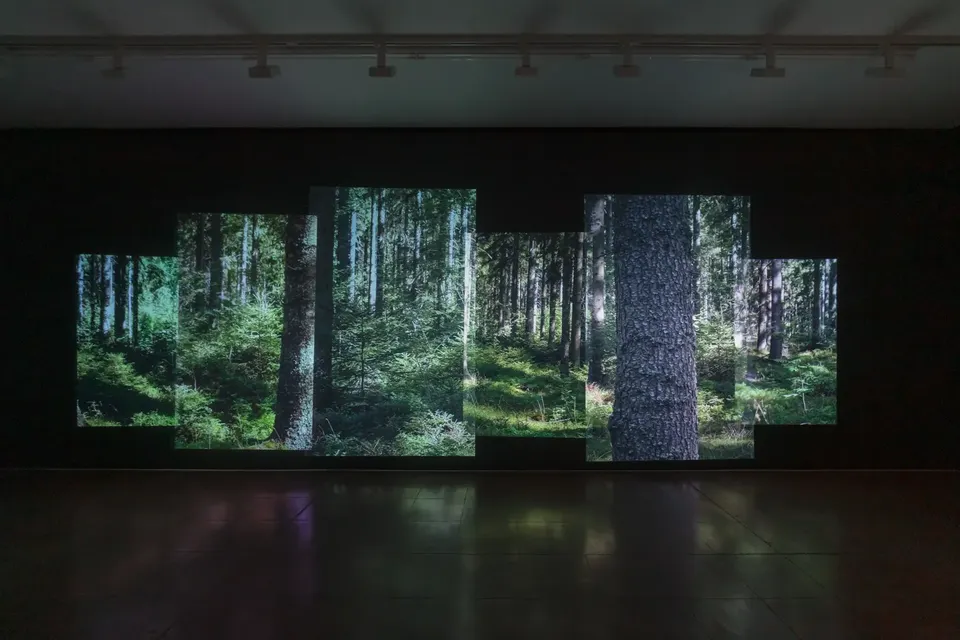 Andrea Geyer, never yet