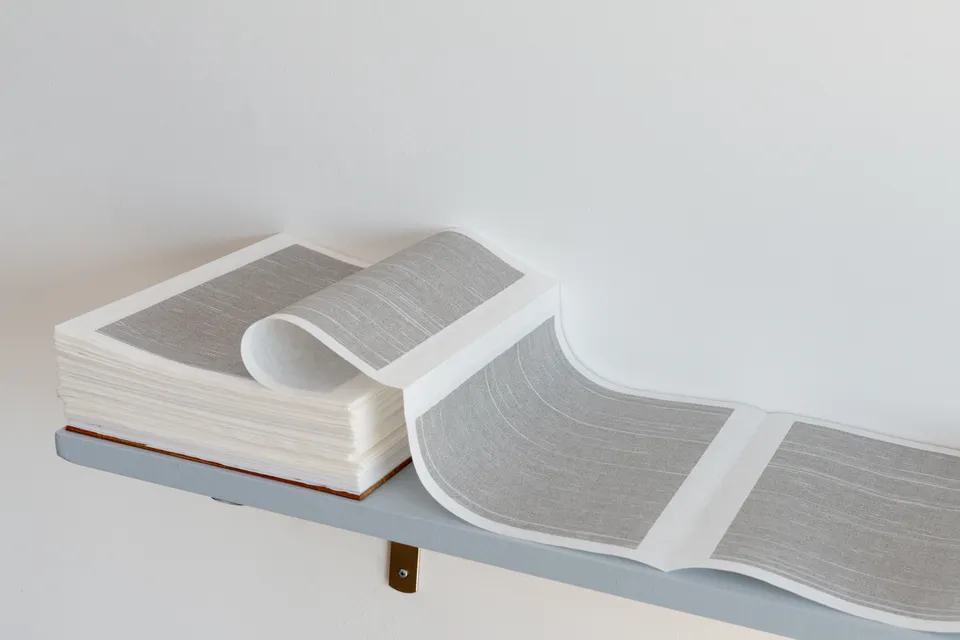 Xin Liu, A book of mine - Volume X