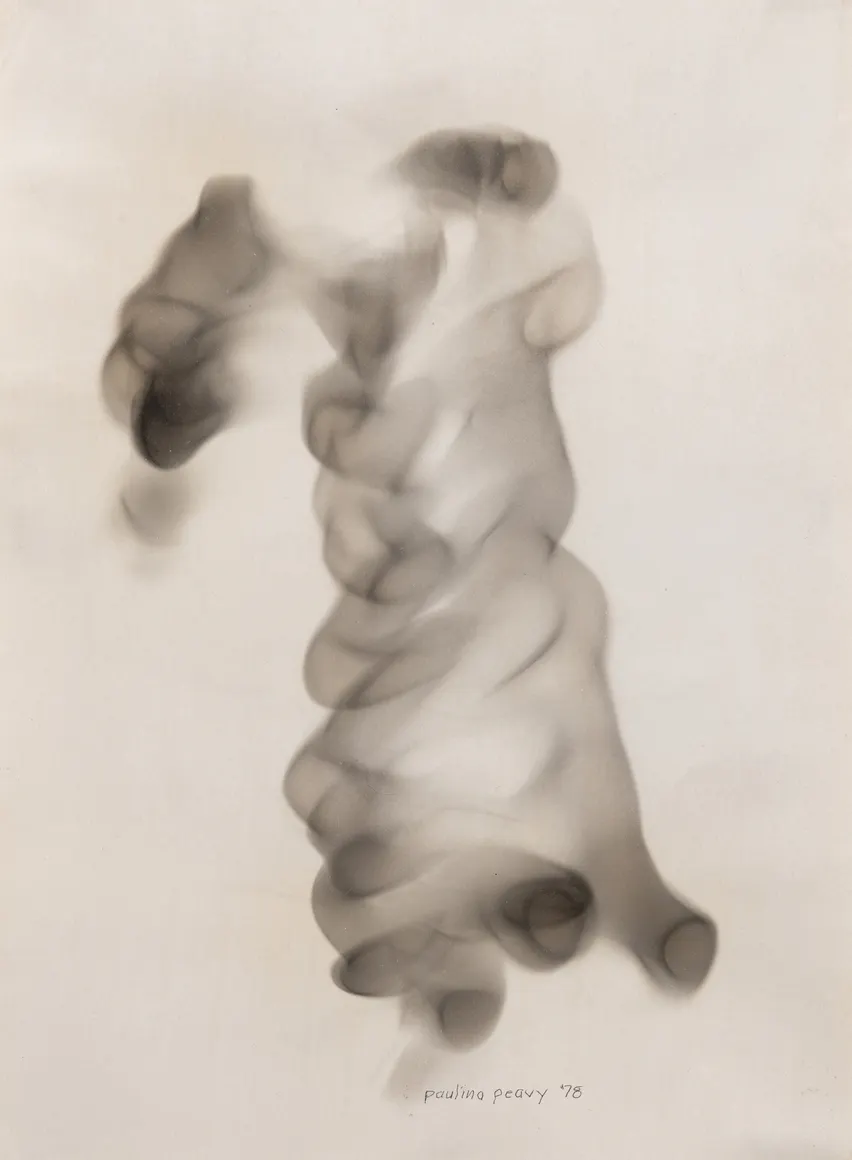 Paulina Peavy, Untitled (Smokies Series)