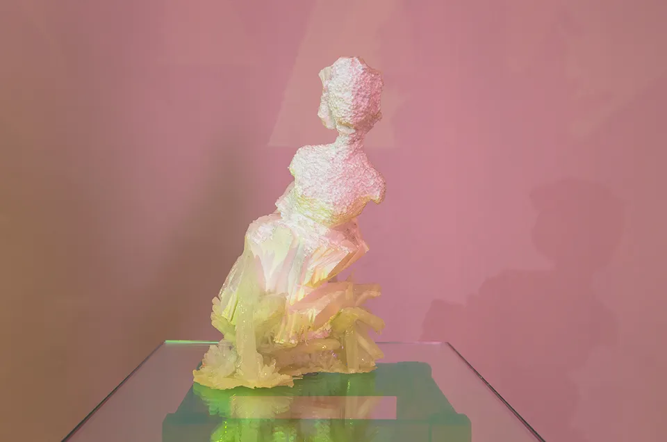Wim Botha, Untitled (Bloom 11)