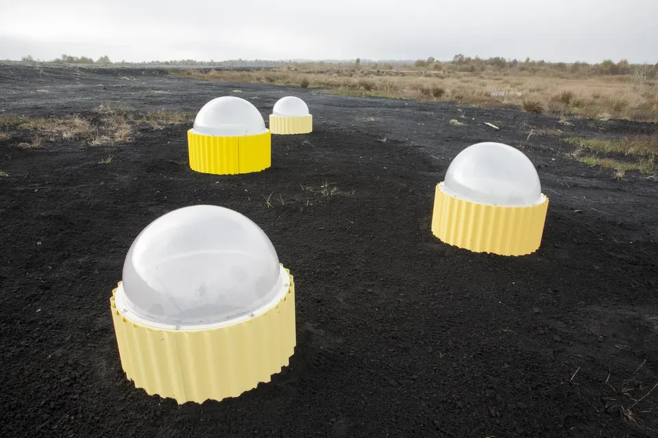 Rachael Champion, Carbon Flux