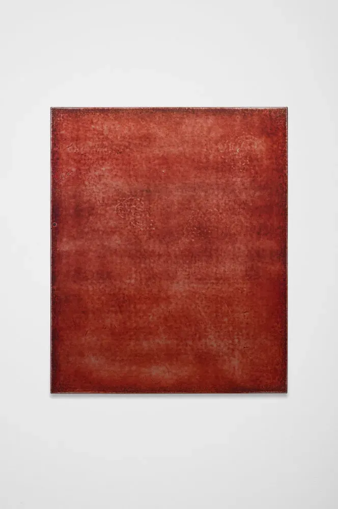 Nicolas Lachance, DUPLICOLOR/PERFECTMATCH 11