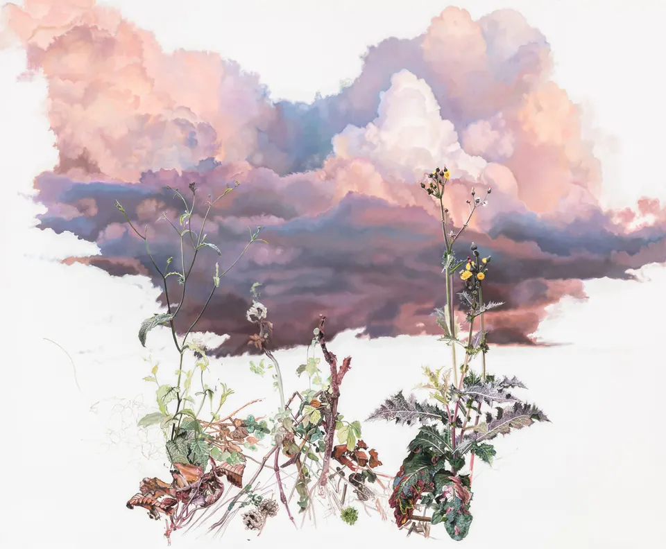 Deborah Poynton, Desert Wild become a Garden Mild