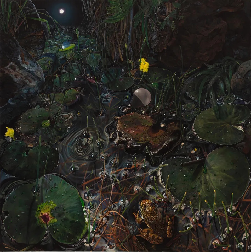 Deborah Poynton, Pond Life