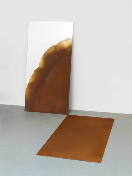 Alicja Kwade, Trait Transference