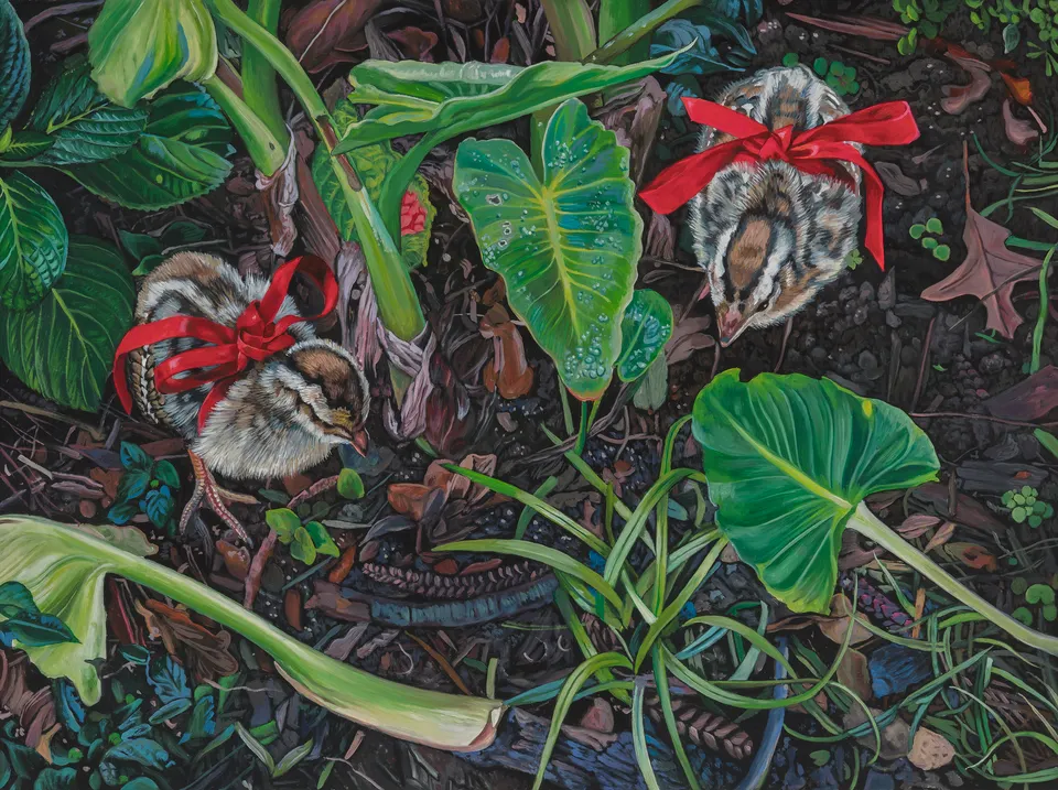Deborah Poynton, Chicks